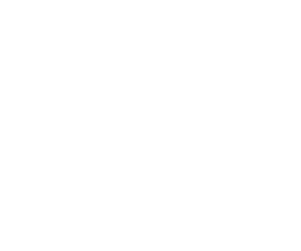 ER