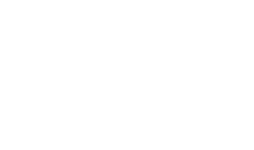 独立之光