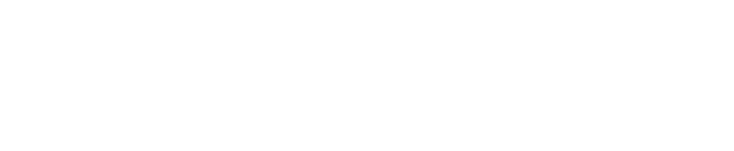 Photon