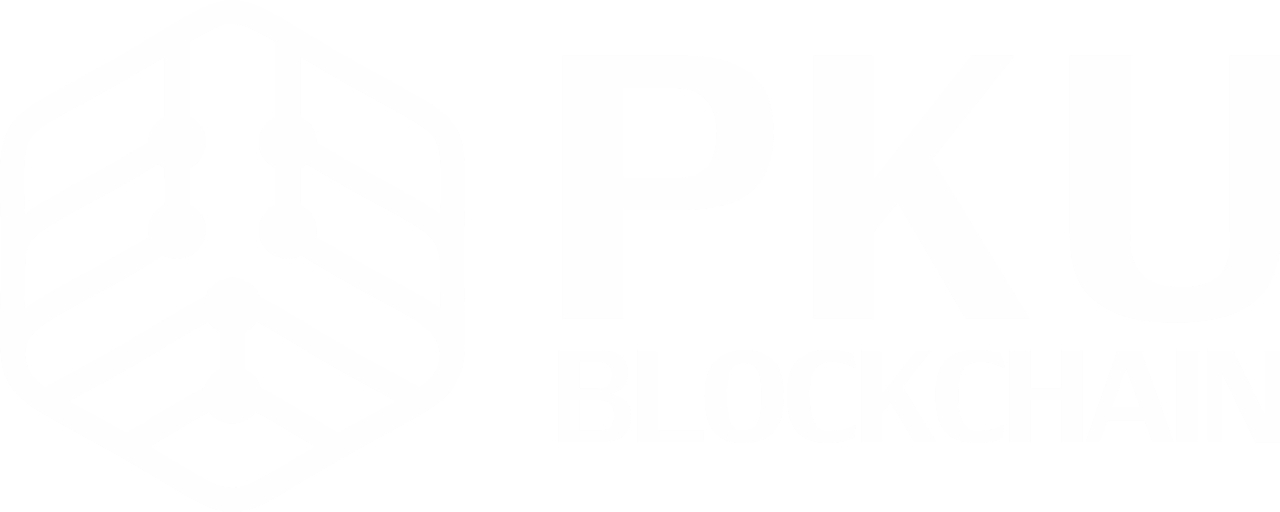 PKU Blockchain