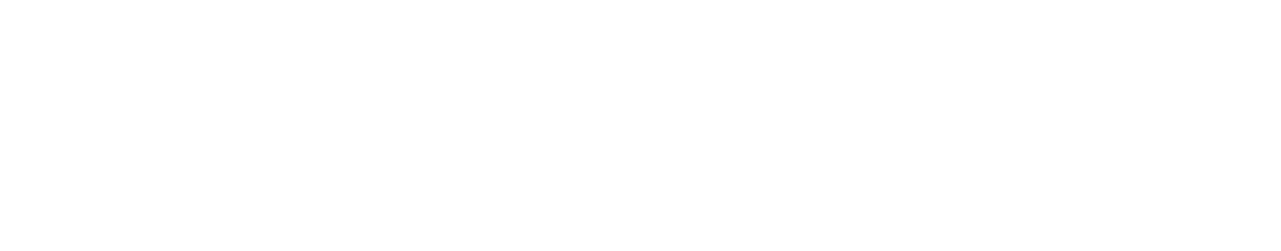 Rokid
