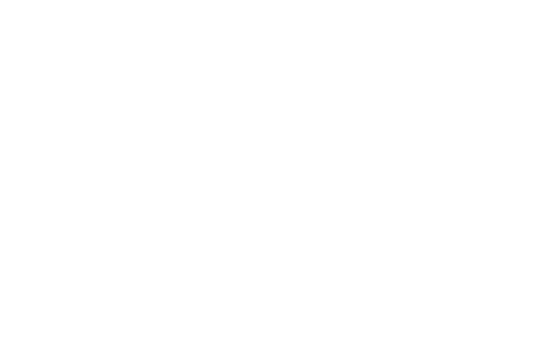 S创