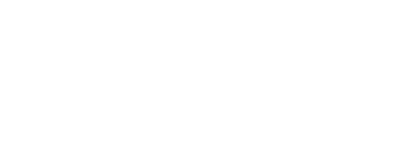 阶跃星辰